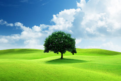free-nature-images